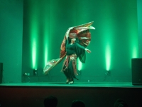Dina zum 1. Orientalischer TanzMarkt Delitzsch